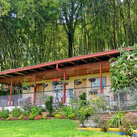 Finca Turistica Los Rosales Pereira Kültér fotó