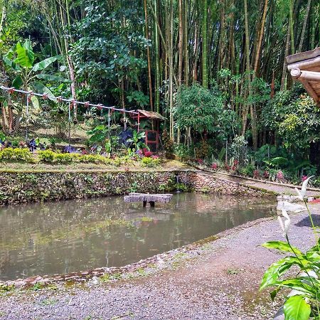 Finca Turistica Los Rosales Pereira Kültér fotó