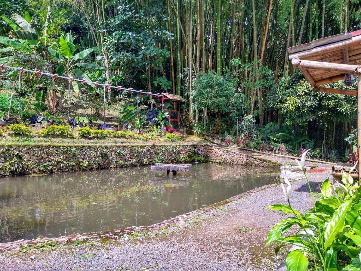 Finca Turistica Los Rosales Pereira Kültér fotó