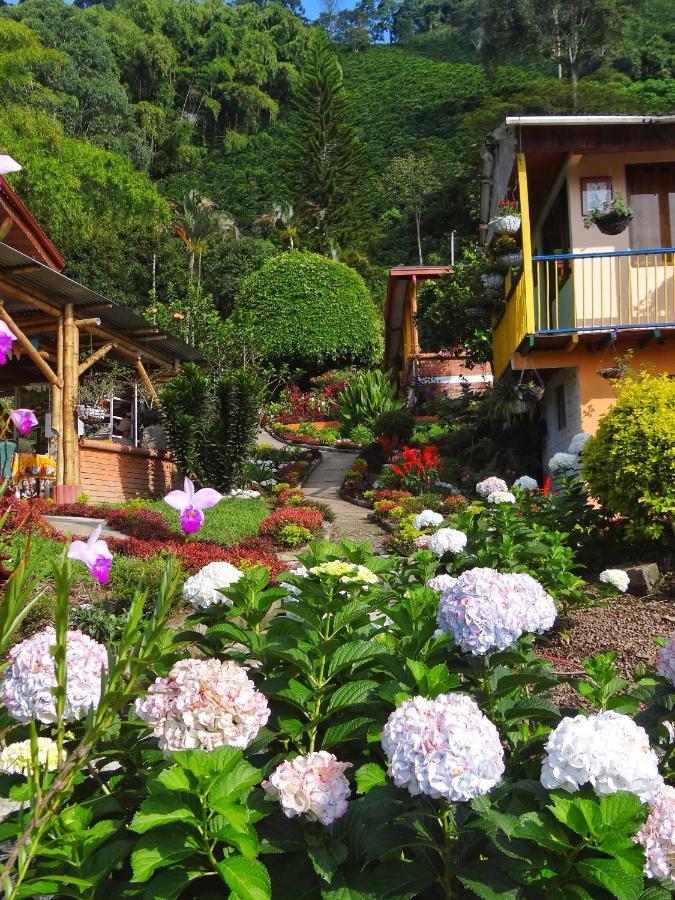 Finca Turistica Los Rosales Pereira Kültér fotó